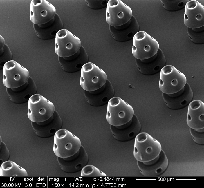 Microstent printed result